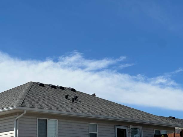 Best Roof Insulation Installation  in Hobe Sound, FL